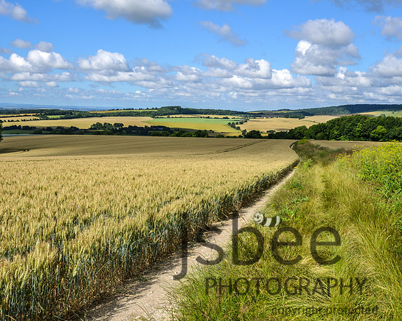 DSC_0121-2 10 x 8