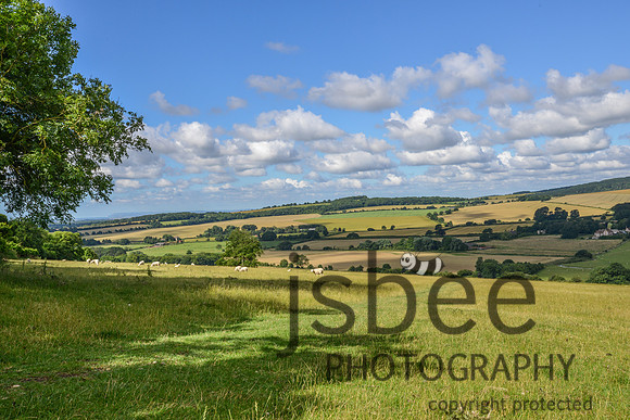 DSC_0143-4