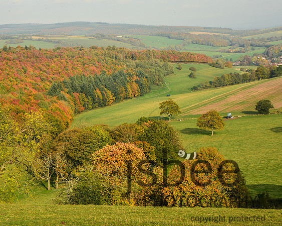 DSC_8948-3 10 x 8