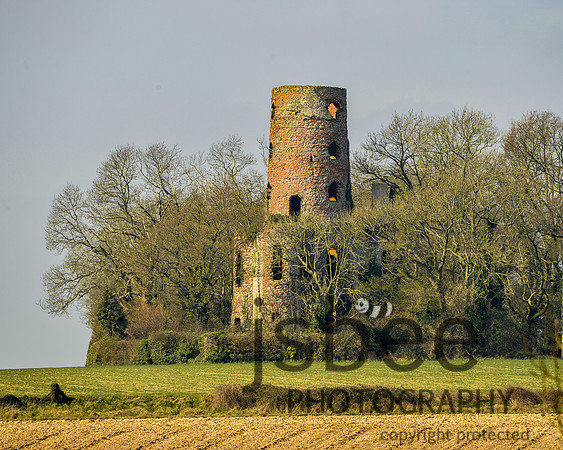 DSC_9886 10 x 8-1