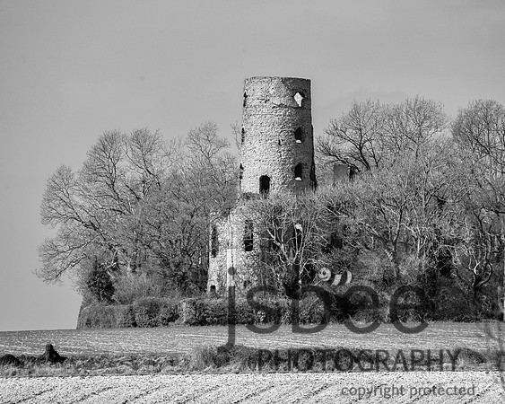 DSC_9886 10 x 8-1BW