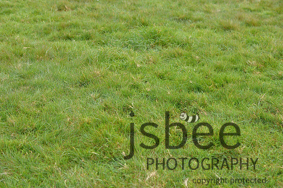 dsb_0096s