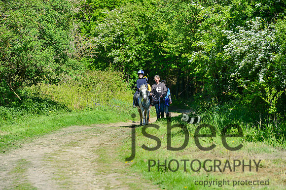 dsb_0207s