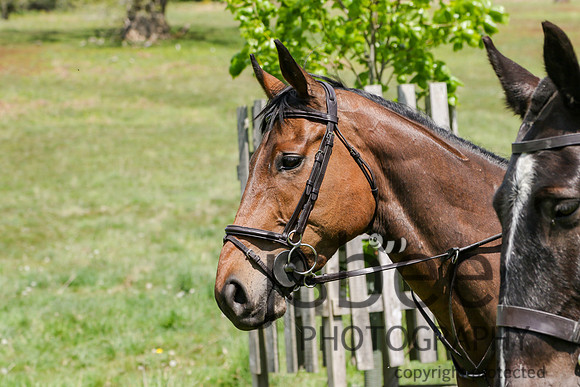 joe_2617b