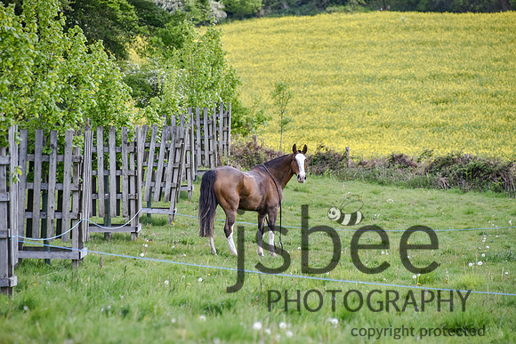 slb_7303n