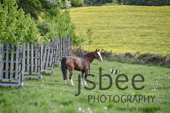 slb_7305n
