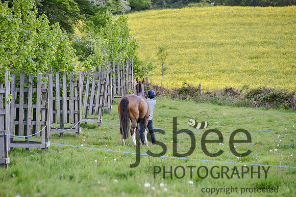 slb_7306n