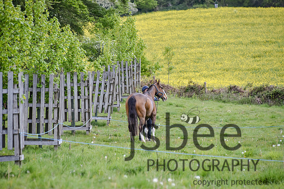 slb_7307n