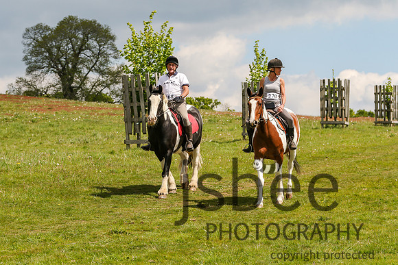 joe_2627b