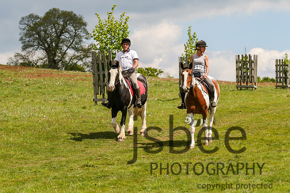 joe_2628b