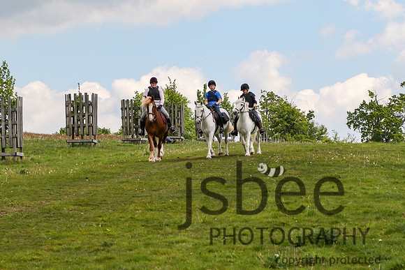joe_2634b