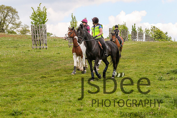 joe_2656b