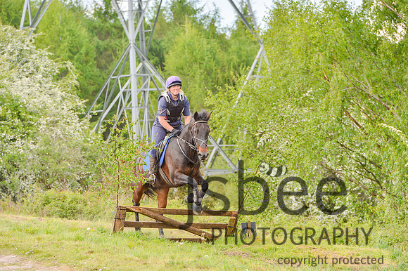 DSB_1390