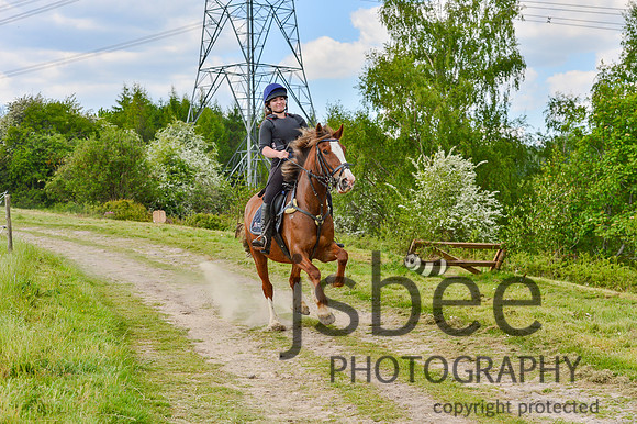 DSB_1397
