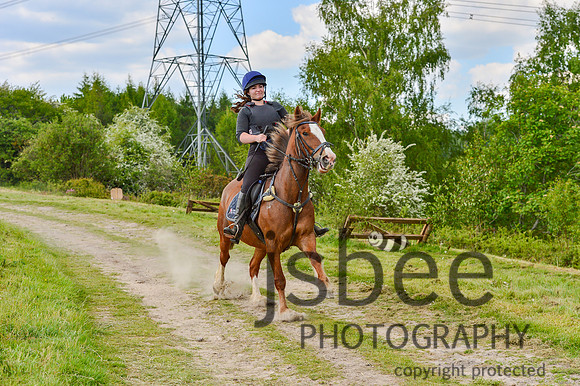 DSB_1398