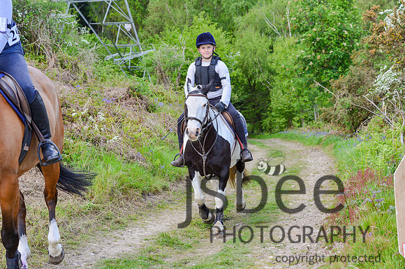 DSB_1491