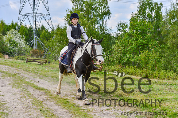 DSB_1499
