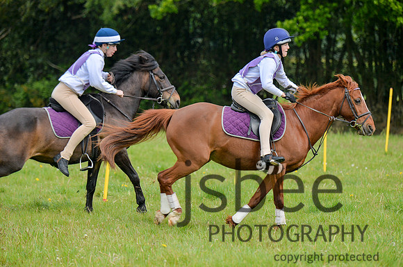 dsb_4306s