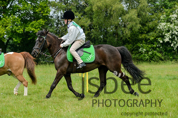 dsb_5054s