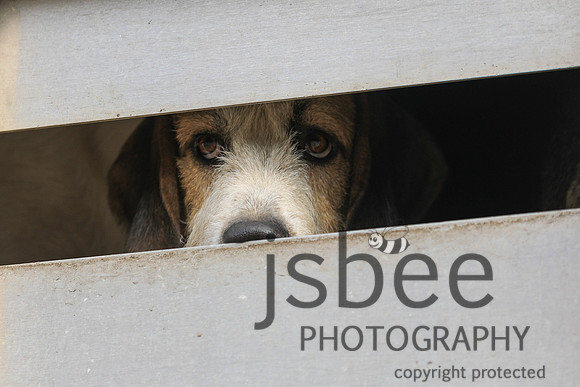 JOB_1484
