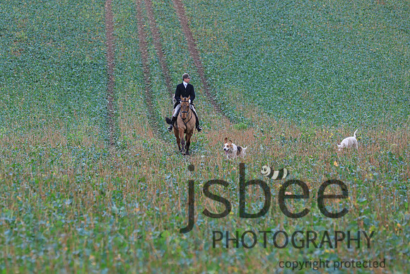 JOB_1531