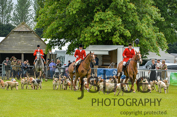 DSB_0903-7-13