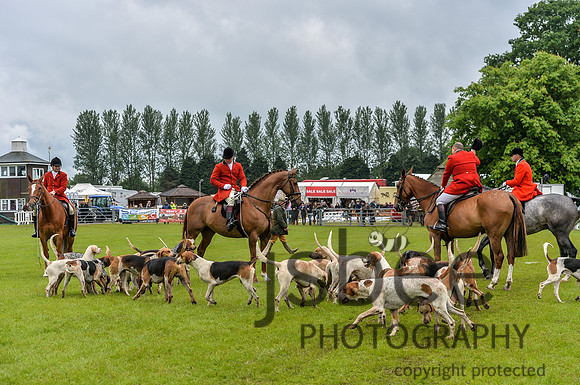 DSB_0908-17