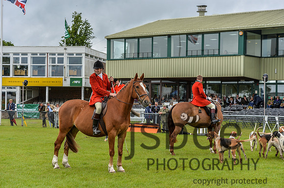 DSB_0919-24