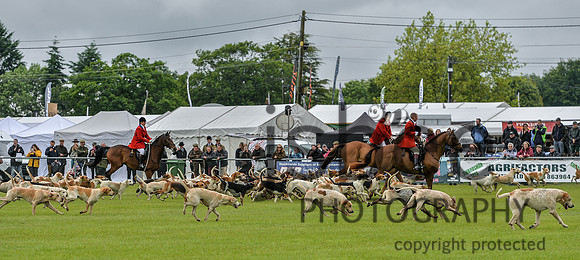 DSB_0955-44