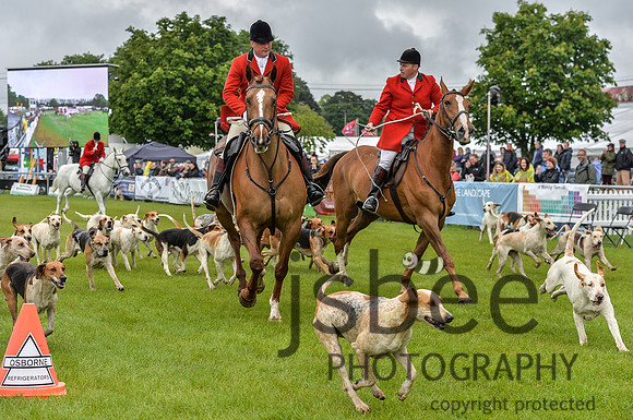 DSB_0958-45