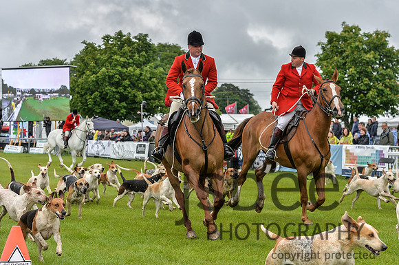 DSB_0959-46