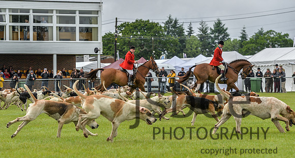 DSB_0977-53