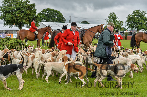 DSB_0992-59