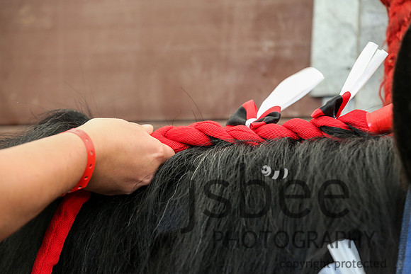 AAJ_3854