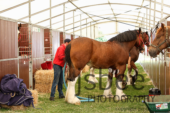 AAJ_3885