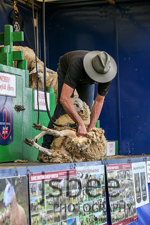 AAJ_3927