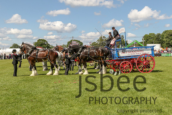 JOE_3197