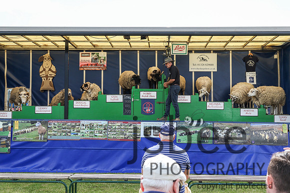 JOE_3110