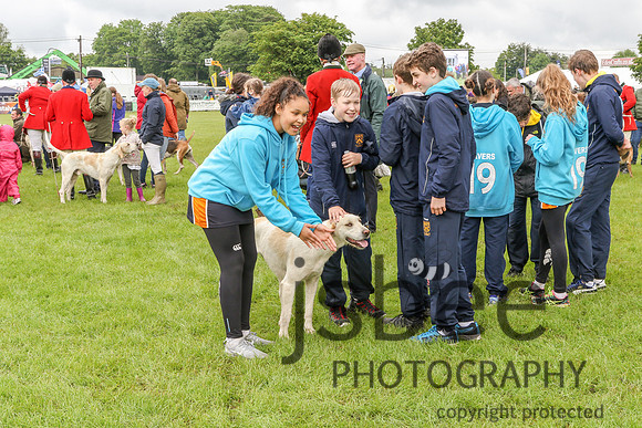 JOE_3487