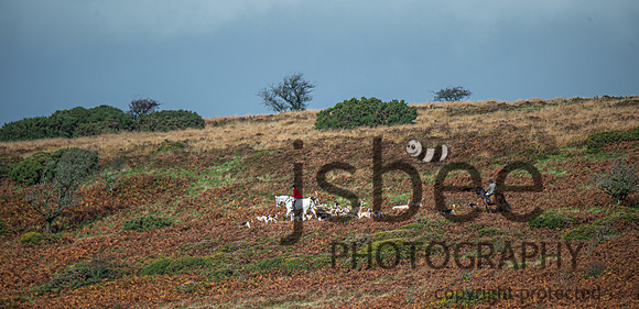 DSB_8409-120