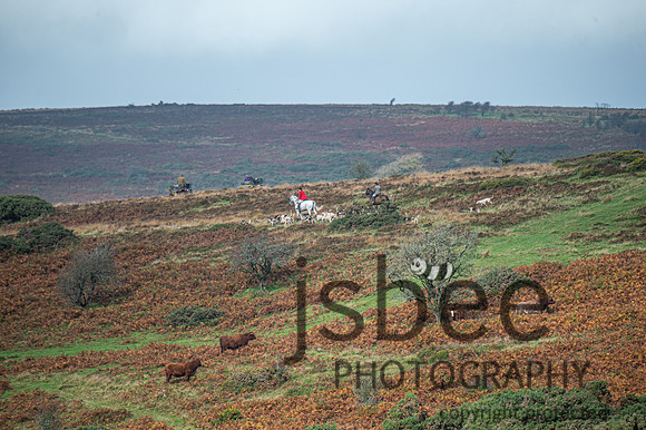 DSB_8410-121