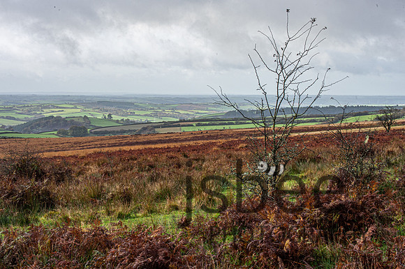 DSB_8957-56