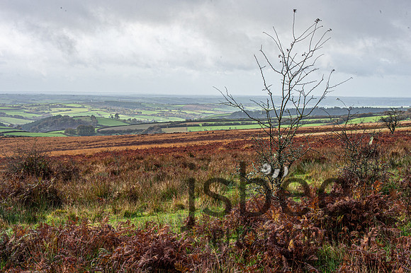 DSB_8958-57