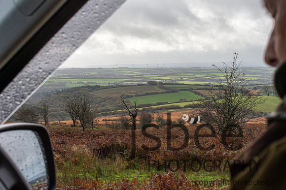 DSB_8961-60