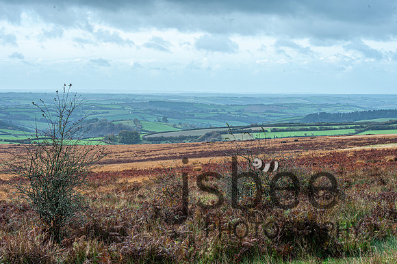DSB_8968-65