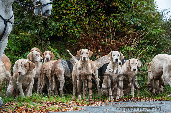 DSB_8170-64