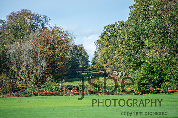 DSB_9233-81