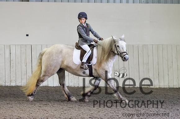 dsb_8310s