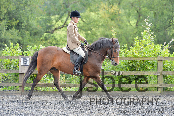 dsb_2554s