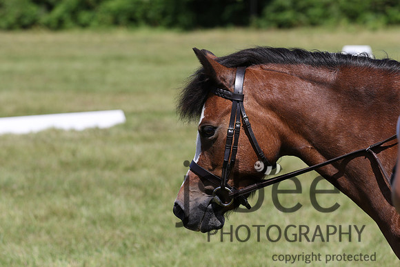 joe_5893j